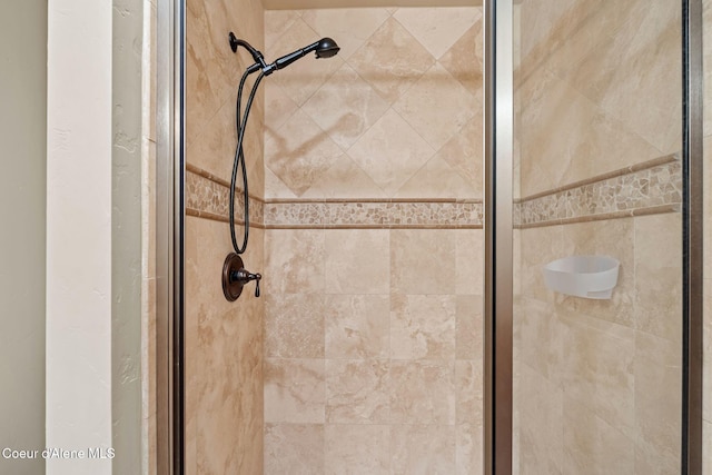 interior details featuring a shower stall