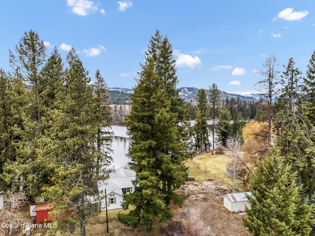 water view featuring a forest view