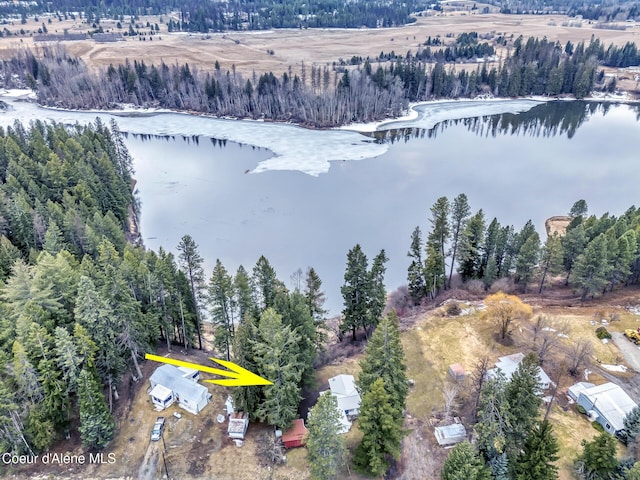 drone / aerial view featuring a view of trees and a water view