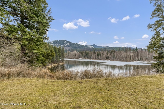 view of water feature with a view of trees and a mountain view