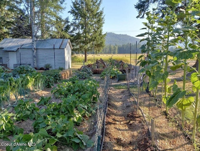 view of yard with an outbuilding