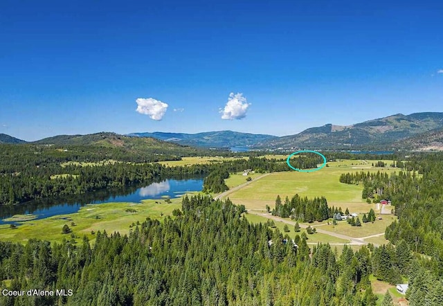 birds eye view of property featuring a water and mountain view