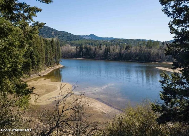 view of water feature featuring a view of trees and a mountain view