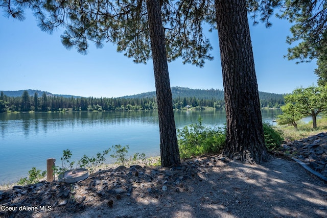 view of water feature with a forest view