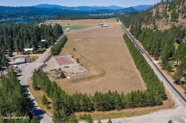 bird's eye view featuring a rural view, a mountain view, and a view of trees