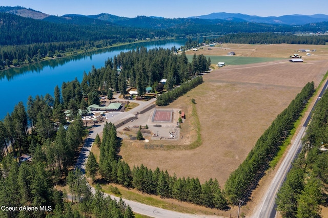 bird's eye view with a view of trees and a water and mountain view