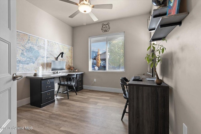 office featuring light wood finished floors, a ceiling fan, and baseboards