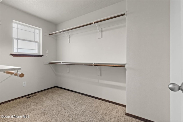 spacious closet featuring visible vents