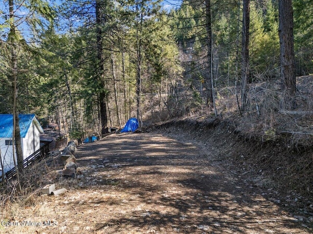 view of yard featuring a wooded view