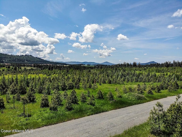 NNA S Hawthorne Dr Unit 6, Harrison ID, 83833 land for sale