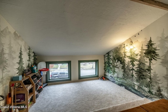 interior space featuring carpet flooring and a textured ceiling