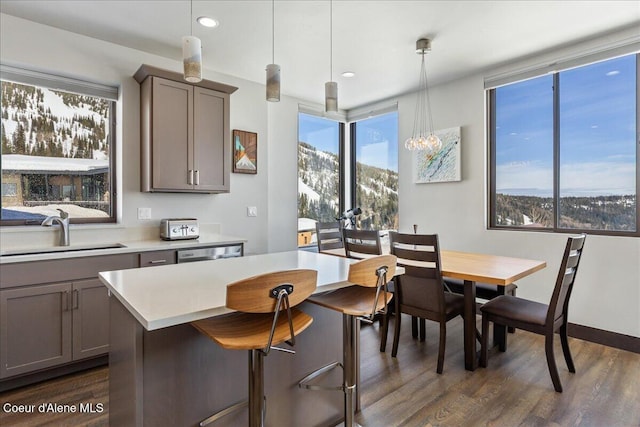 interior space with gray cabinets, light countertops, a sink, and dark wood-style flooring