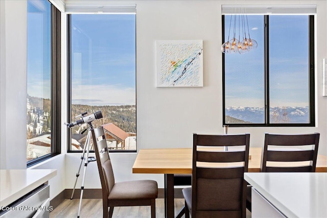 dining space featuring wood finished floors