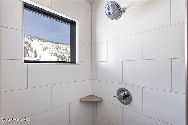 room details featuring a tile shower