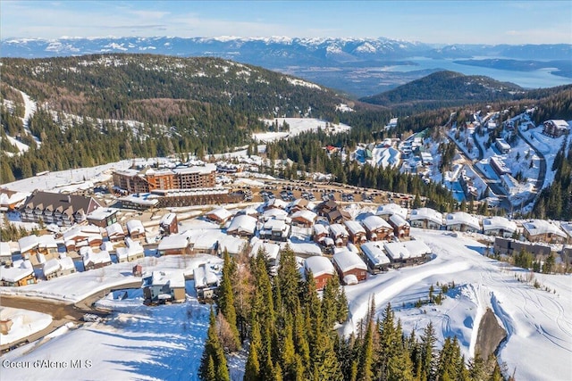 snowy aerial view featuring a mountain view