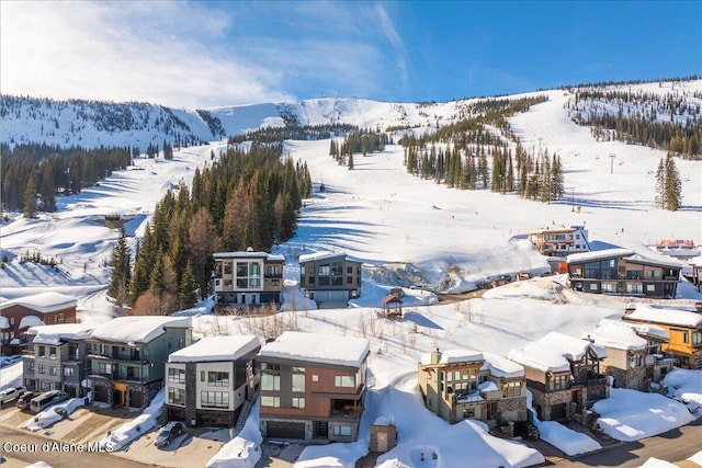 snowy aerial view featuring a mountain view