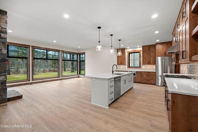 kitchen with a center island with sink, light wood-style flooring, appliances with stainless steel finishes, under cabinet range hood, and a sink