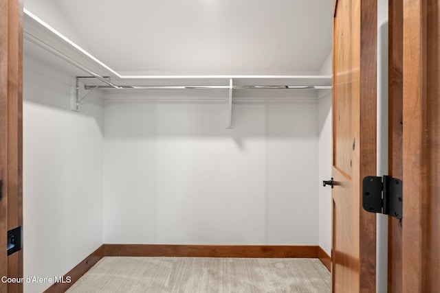 view of spacious closet