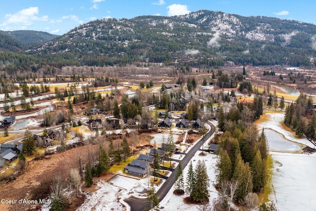 drone / aerial view featuring a mountain view and a view of trees