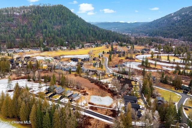 mountain view with a forest view