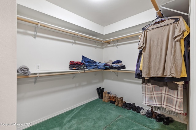 spacious closet featuring carpet flooring