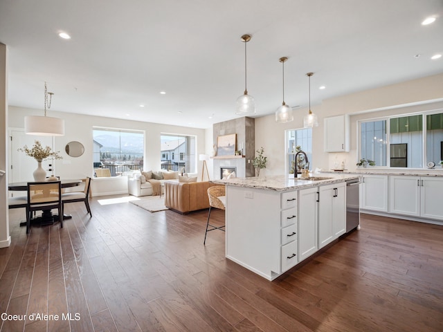 kitchen with a sink, stainless steel dishwasher, dark wood-style floors, and white cabinetry