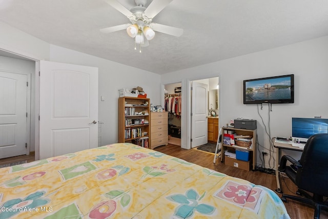 bedroom featuring a walk in closet, ensuite bath, wood finished floors, a closet, and ceiling fan