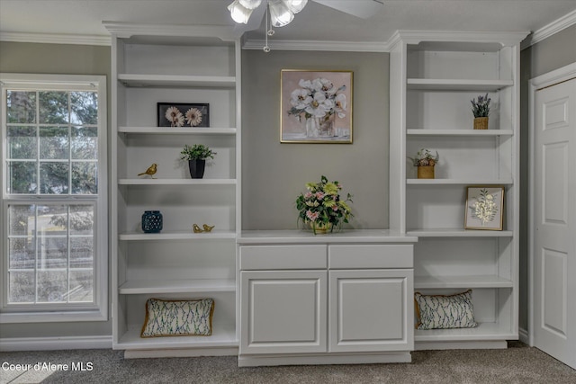 details featuring built in shelves, carpet, and crown molding