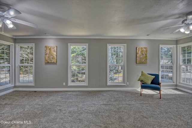 interior space featuring a wealth of natural light, ceiling fan, carpet flooring, and ornamental molding