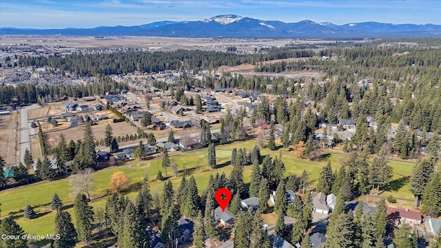 birds eye view of property featuring a mountain view