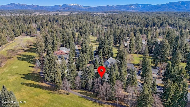 aerial view featuring a mountain view and a forest view