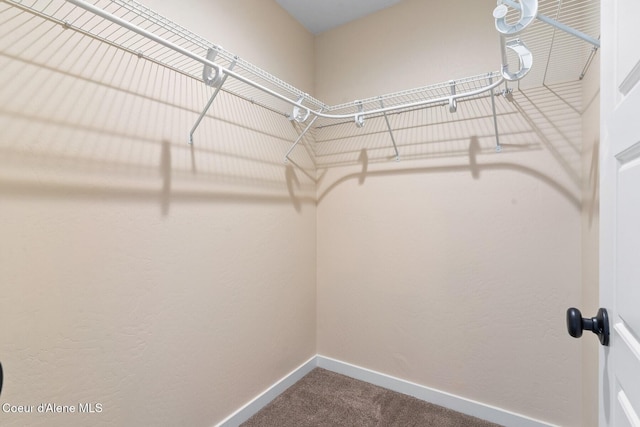 walk in closet with dark carpet