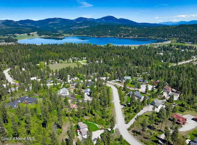 bird's eye view featuring a forest view and a water and mountain view