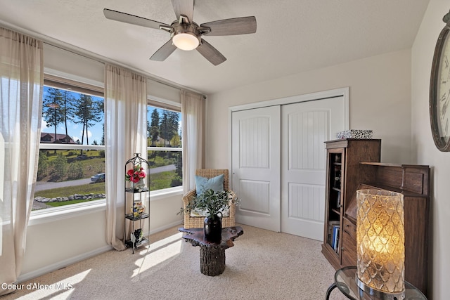 living area featuring a ceiling fan, carpet flooring, a textured ceiling, and baseboards