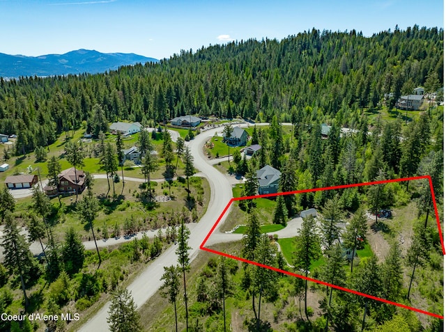 bird's eye view with a forest view and a mountain view