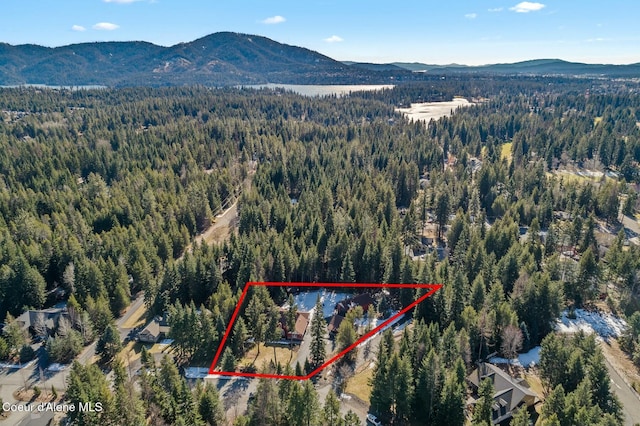 aerial view with a mountain view and a view of trees