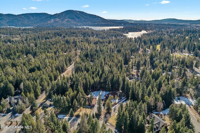 bird's eye view with a mountain view and a wooded view