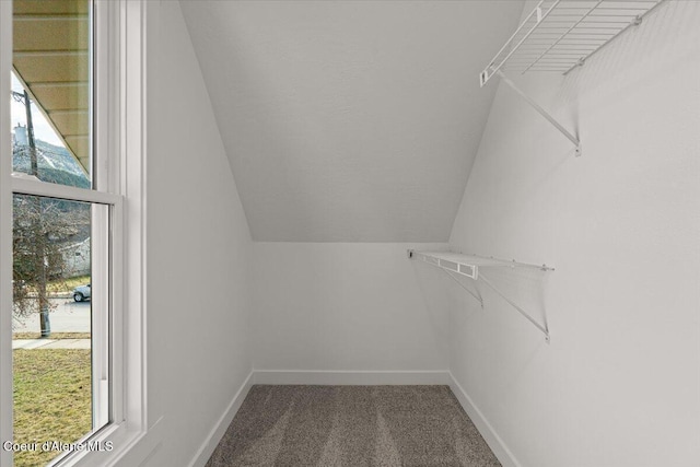 spacious closet featuring lofted ceiling and carpet flooring