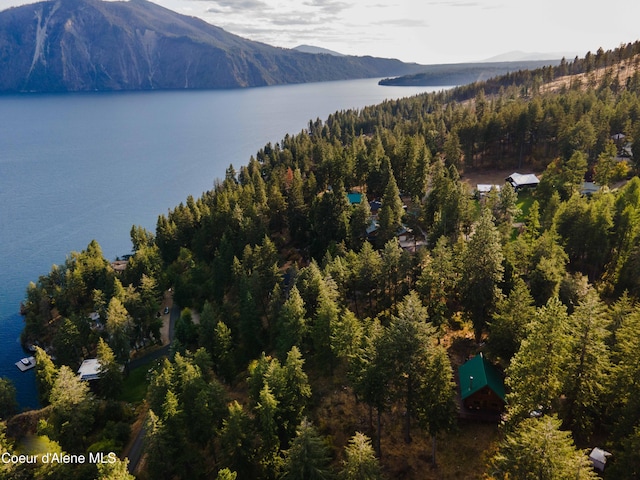 drone / aerial view with a forest view and a water and mountain view