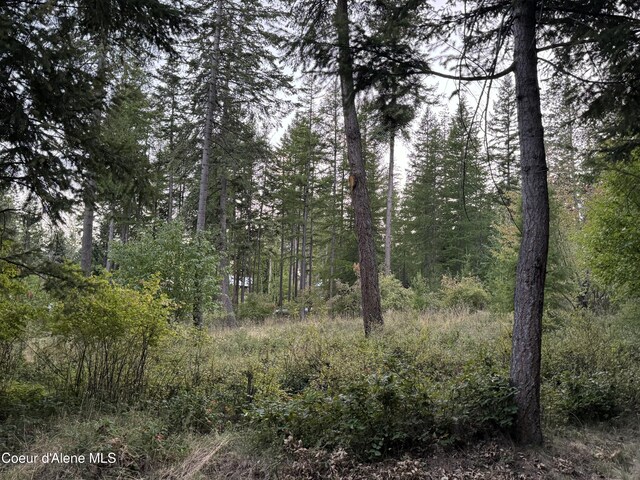 view of landscape featuring a view of trees