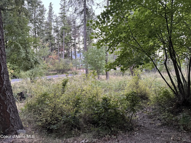 view of local wilderness featuring a wooded view