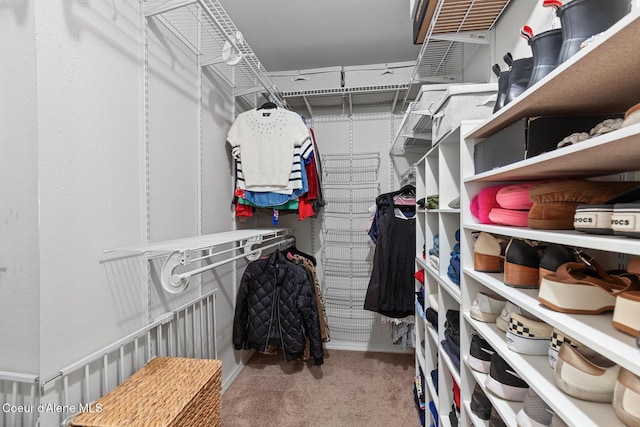 walk in closet with carpet