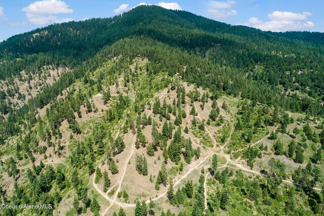 aerial view featuring a forest view and a mountain view