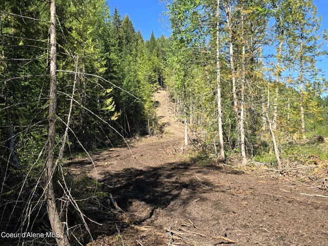 NNA Old Highway Two Loop, Moyie Springs, ID 83845