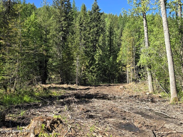 NNA Old Highway Two Loop, Moyie Springs, ID 83845