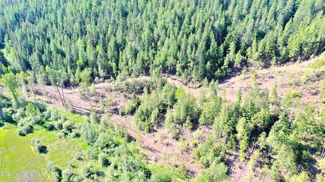 NNA Old Highway Two Loop, Moyie Springs, ID 83845