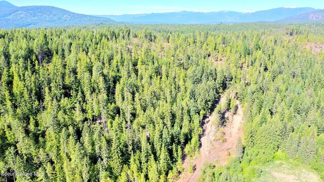 NNA Old Highway Two Loop, Moyie Springs, ID 83845