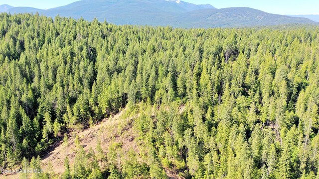 NNA Old Highway Two Loop, Moyie Springs, ID 83845
