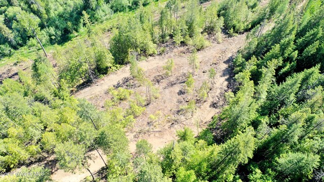 NNA Old Highway Two Loop, Moyie Springs, ID 83845