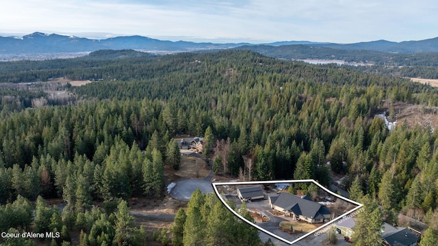 aerial view with a forest view and a mountain view